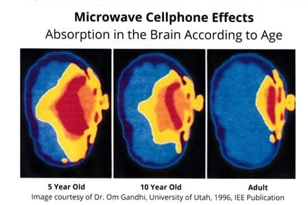 Babies and EMF: Why The Young Have More Health Risks