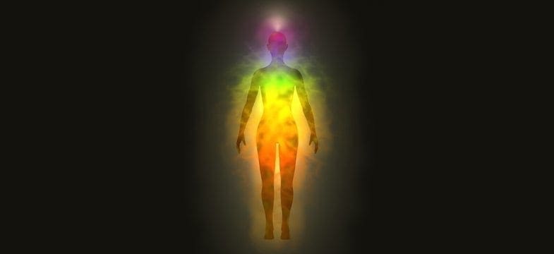 The Human Body is an EMF Machine
