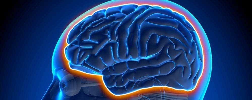 Blood Brain Barrier