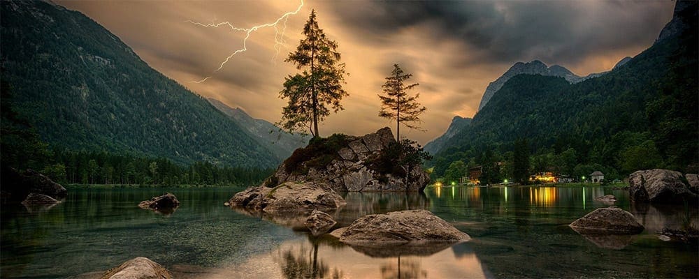 The Effects of EMF on Nature, Wildlife, Trees, Plants, Animals & Pets