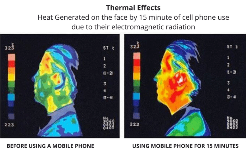 thermal effect as a health risk of using a mobile phone