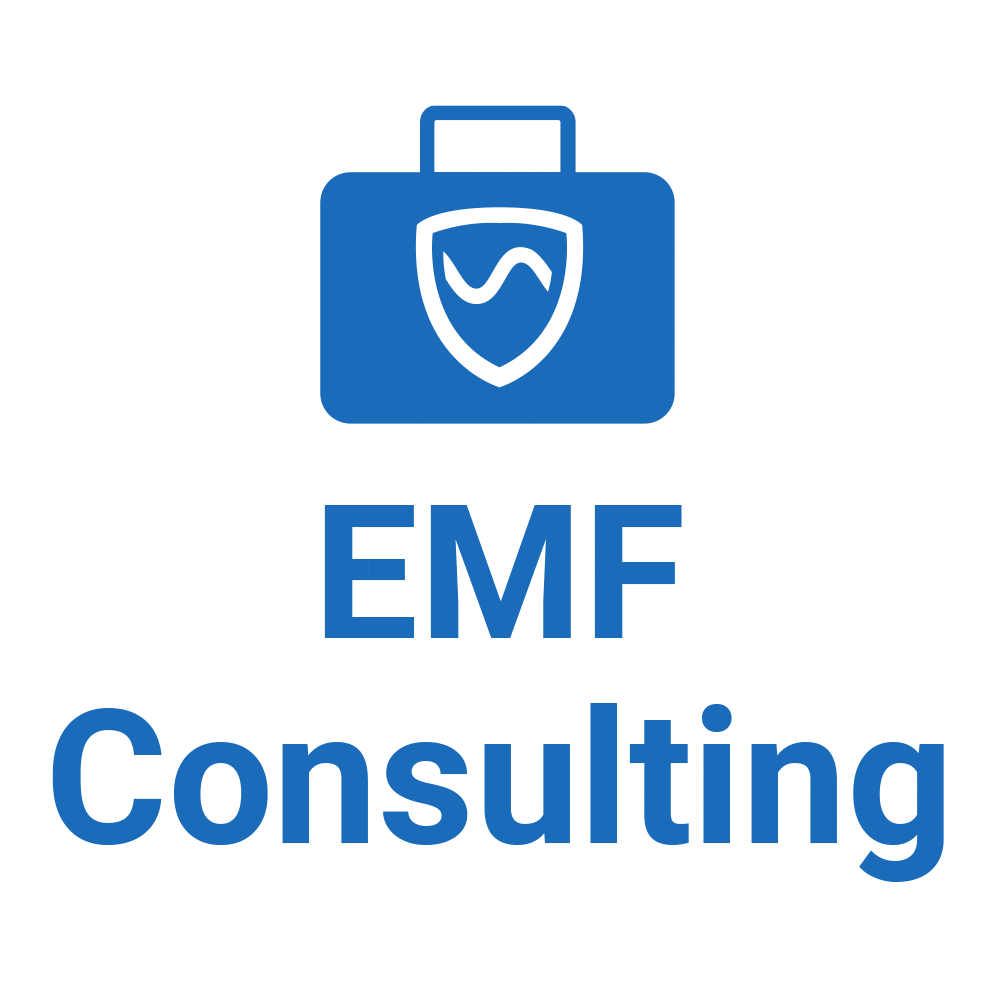 EMF Consulting Services from SYB