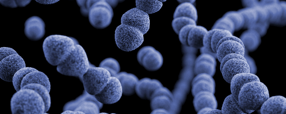 emf bacteria and antibiotic resistance