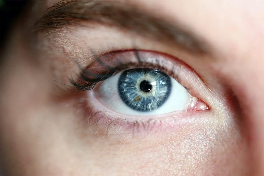 EMF and eye health