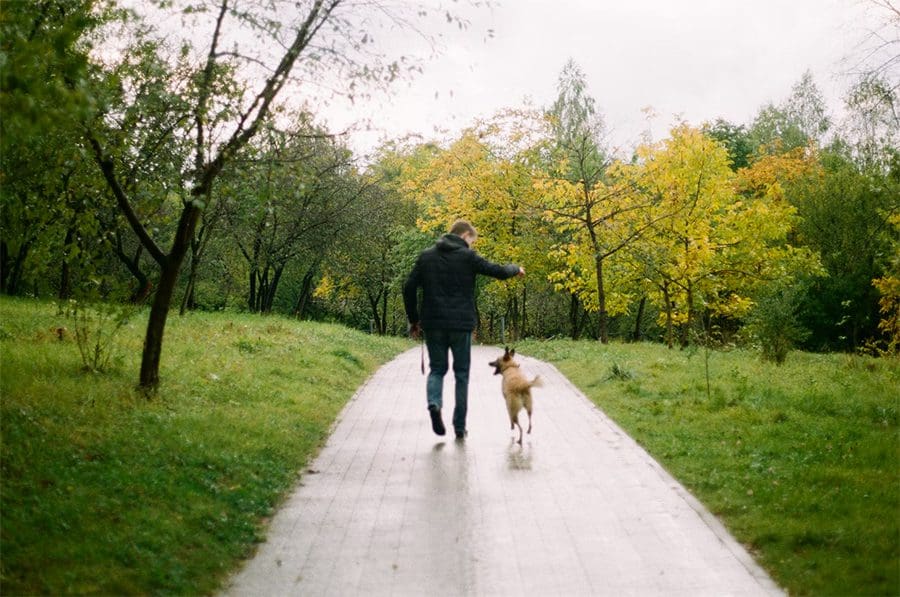 Man and dog in park