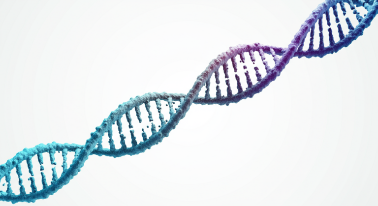 DNA double helix with strand breaks illustrated for EMF protection