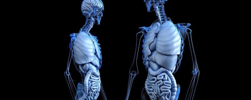 EMF-Endocrine-System