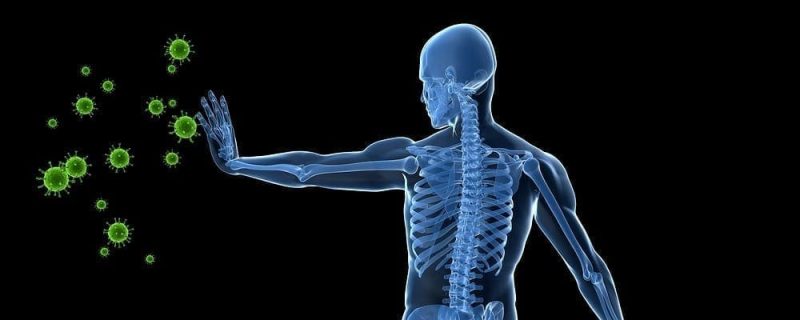 EMF and Autoimmune Disease