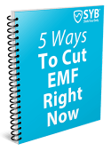 Free Guide: 5 Ways to Reduce Your EMF Exposure Right Now Free Guide: 5 Ways to Reduce Your EMF Exposure Right Now